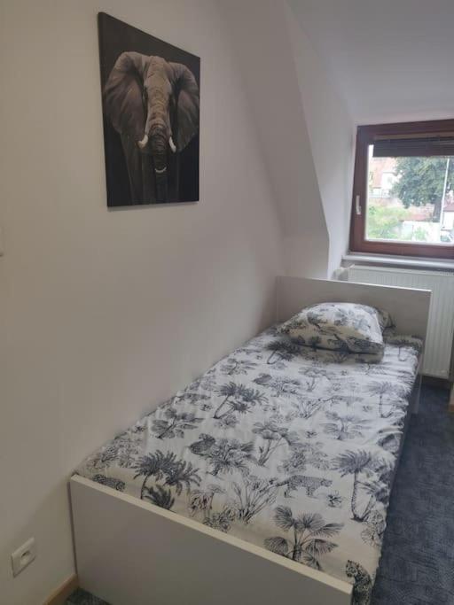 Tres Bel Appart Charmant 85M2 Parking Gratuit Molsheim Luaran gambar
