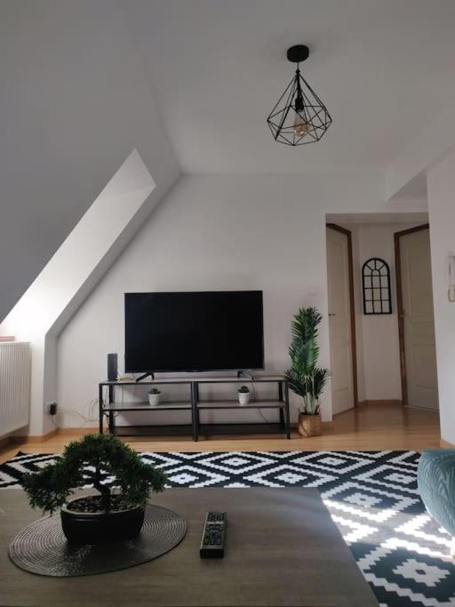 Tres Bel Appart Charmant 85M2 Parking Gratuit Molsheim Luaran gambar